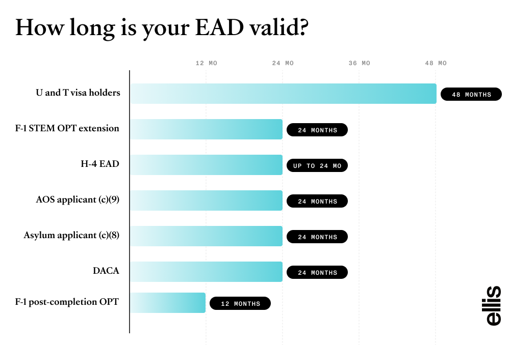 Bar chart titled "How long is your EAD valid?" comparing EAD validity periods by category. F-1 post-completion OPT is valid for 12 months; F-1 STEM OPT extension, H-4 EAD, AOS applicants under (c)(9), asylum applicants under (c)(8), and DACA recipients each get 24 months; U and T visa holders get 48 months.