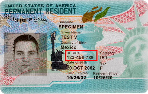 Where to find alien registration number on a green card